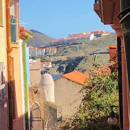 Appartement Dans Le Quartier Recherche Du Moure Collioure Kültér fotó