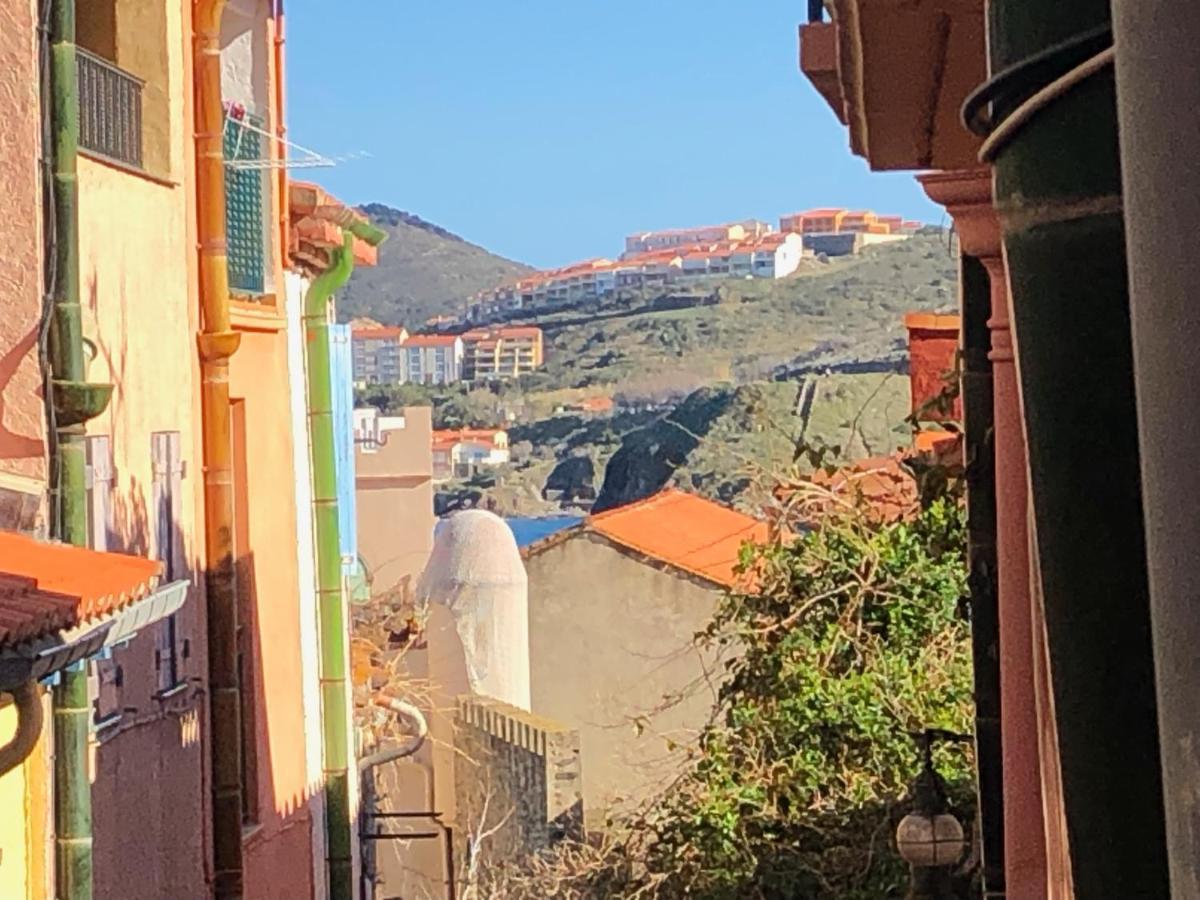 Appartement Dans Le Quartier Recherche Du Moure Collioure Kültér fotó