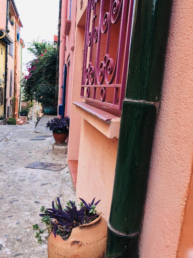 Appartement Dans Le Quartier Recherche Du Moure Collioure Kültér fotó